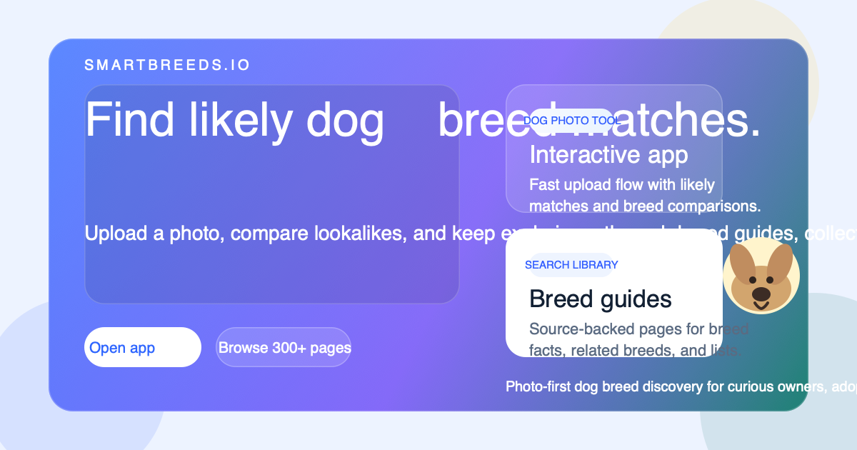 Water Repellent Coat Dog Breeds | SmartBreeds.io